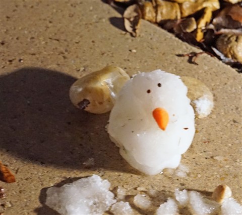 snowman austin 2017