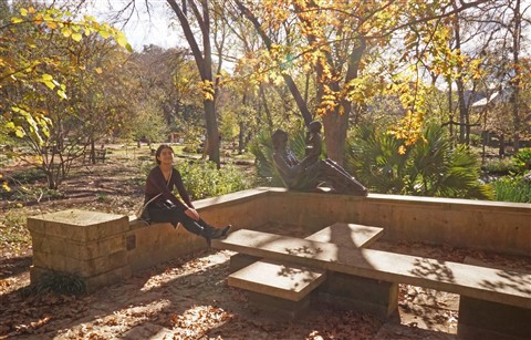 umlauf austin winter 2017