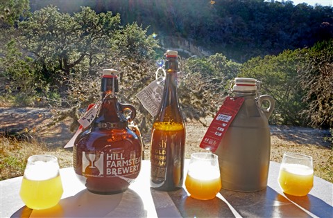 monkish foggier window and pinthous pizza electric jellyfish texas ipa growler