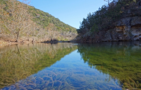 lost maples camp texas hill country 