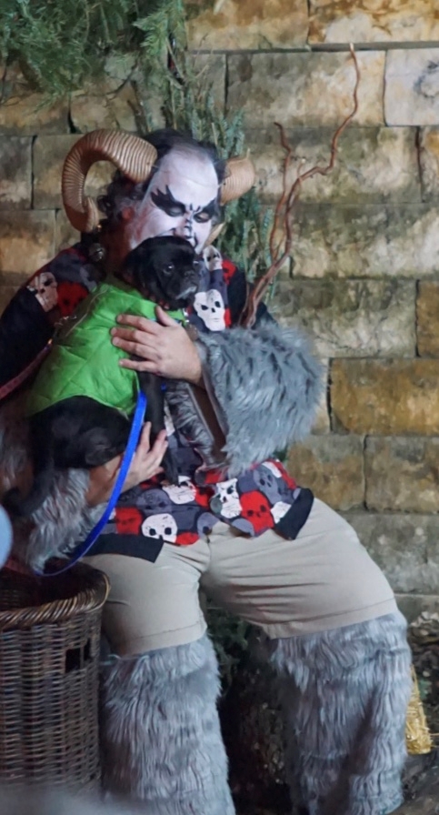 krampus eats pug dog live oak brewing austin