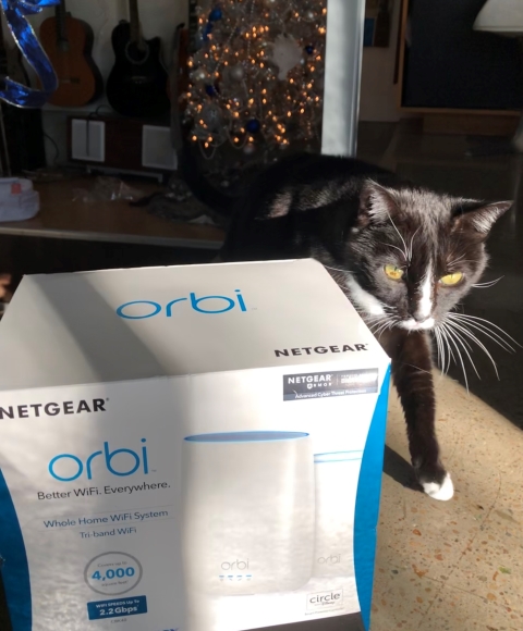 kay-so and the orbi mesh