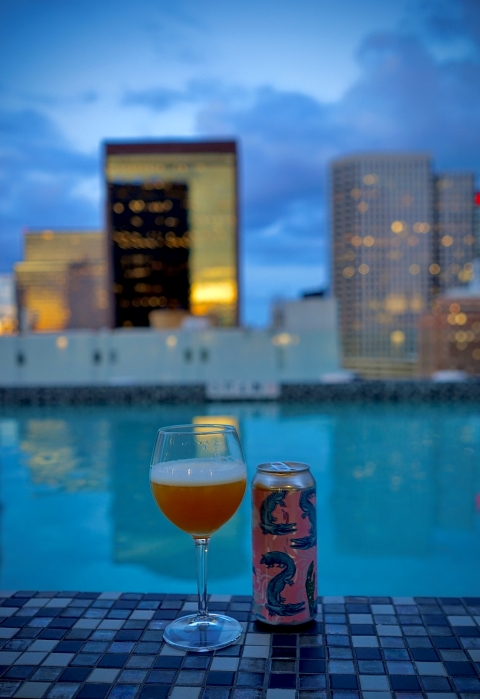 great raft celestial beer I told you this would happen can