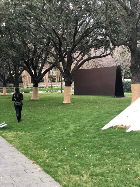 nasher sculpture dallas art