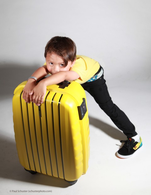 delsey yellow luggage black stripes