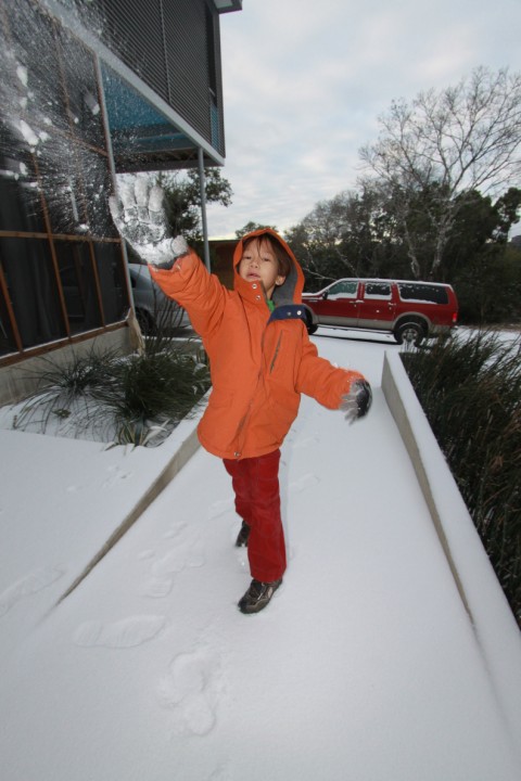 snow ball fight austin texas