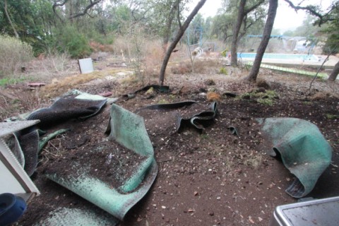 green roof material for sale austin