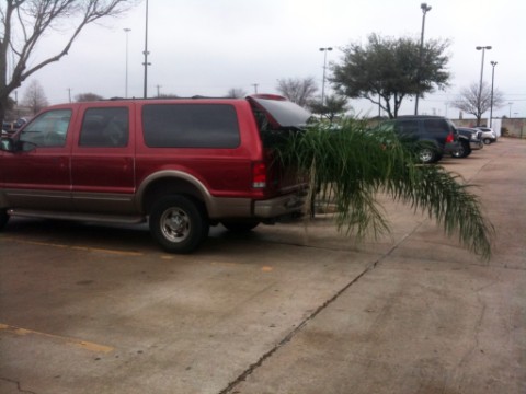 even the excursion is not always big enough