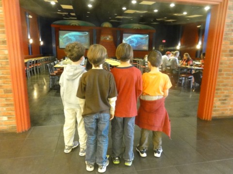 gatti town cartoon theater gatti town cartoon theater