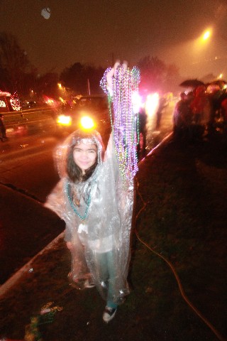 mardi gras beads in the rain  mardi gras beads in the rain