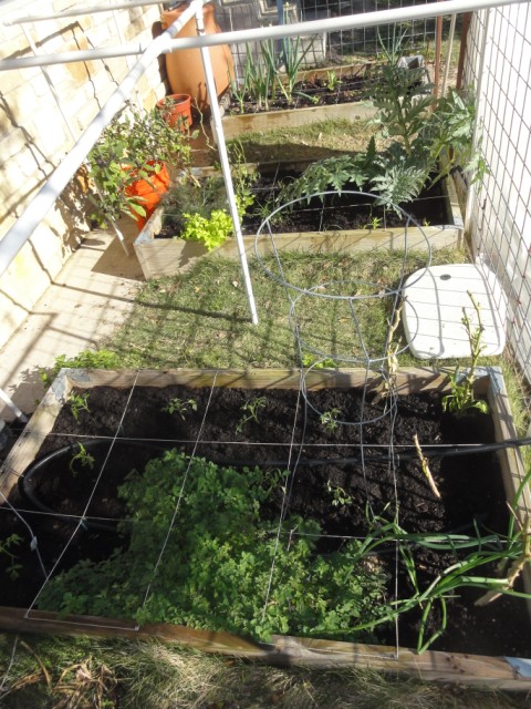 austin planter box garden austin planter box garden