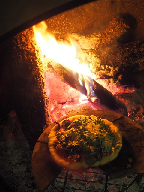 wood fired pizza wimberley midcentury modern fireplace