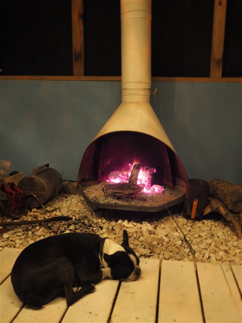 marvin the boston terrier naps by the mid century modern fireplace