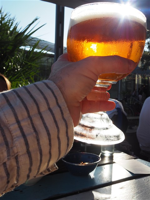 cheers beer schooner perla's austin