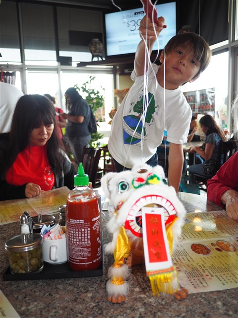 tc noodles austin chinatown