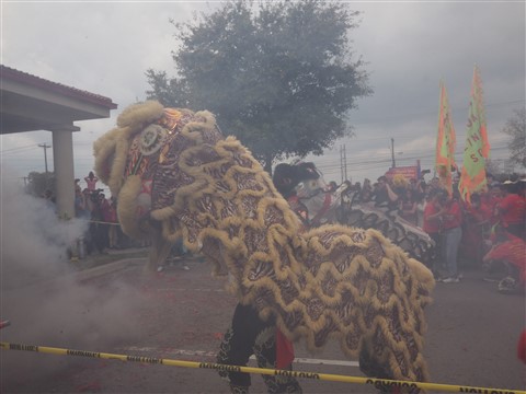 lion dancers chinatown austin new lunar year