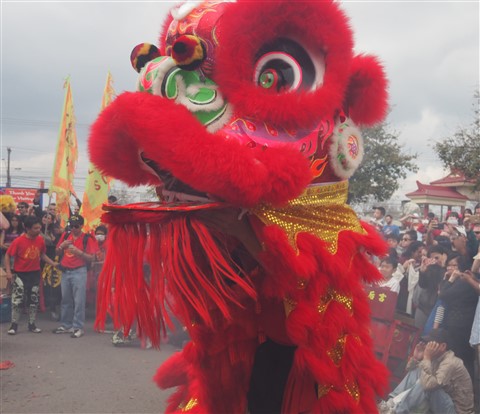 lion dancers chinatown new year celebration austin 2015