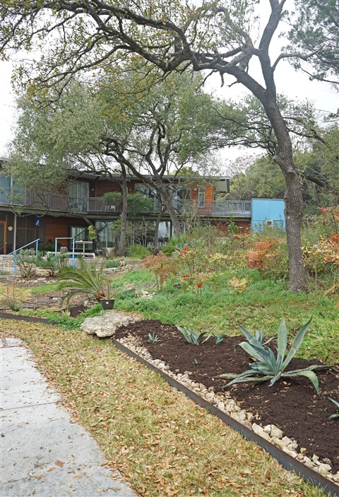 austin modhouse back yard