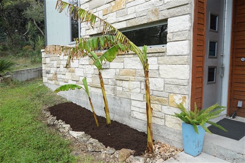 no freeze winter austin 2015-2016