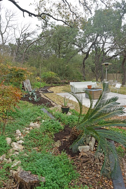 mesquite patio austin modhouse winter