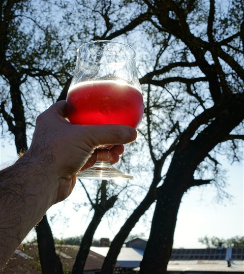 orangutang holdping up a jester king beer 