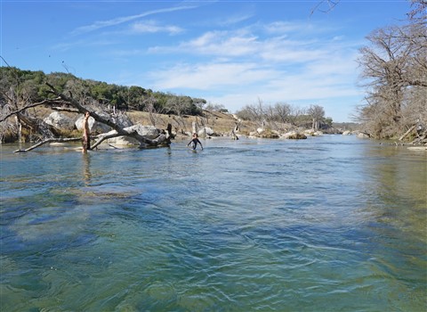 blanco river rapids 2-18-2017