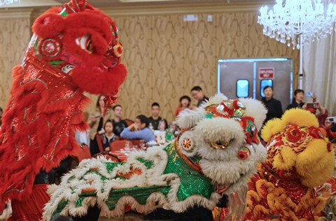 summit lion dancers austin csa chinese new year