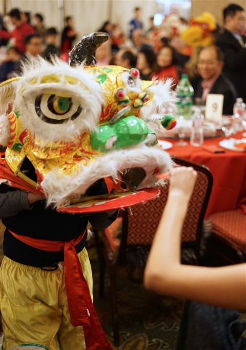 chinese socity of austin summit lion dance