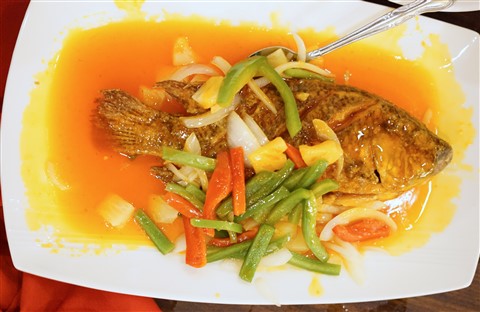 new forune chinese seafood restaurant austin 