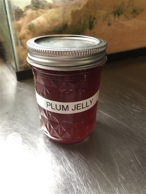 home made plum jelly from Vermont Jeffersonville Norm!