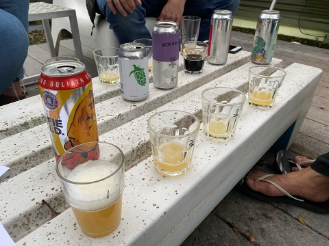 king sue tupps ddh other half noonwhistle ipa 