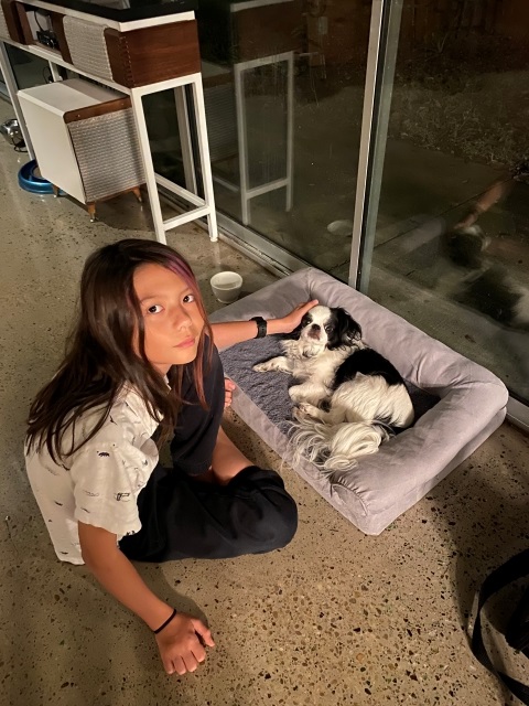 goji #gojierathejapanesechin