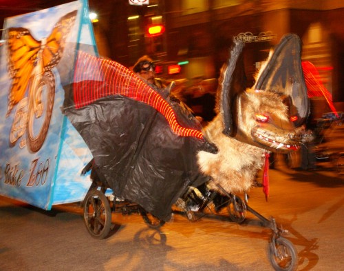 austin congress bridge bat