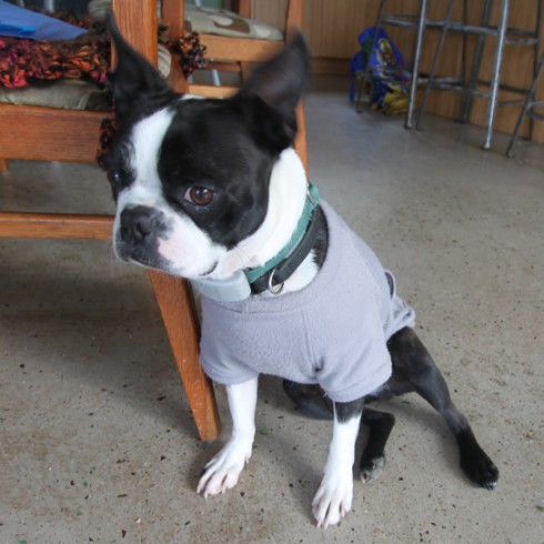 marvin in his winter coat