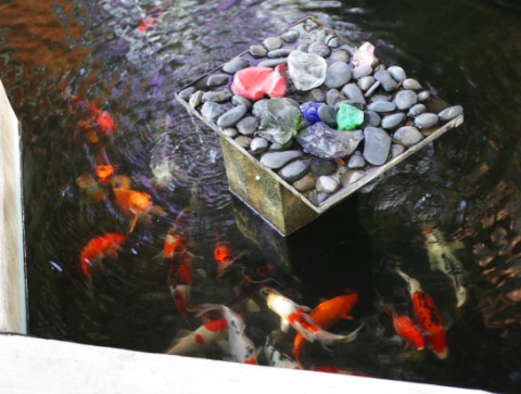 koi pond austin west lake hills koi pond austin west lake hills