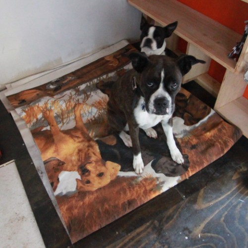 off-grid dog blanket off-grid dog blanket