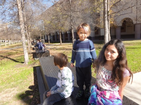 UT campus art museum blanton UT campus art museum blanton