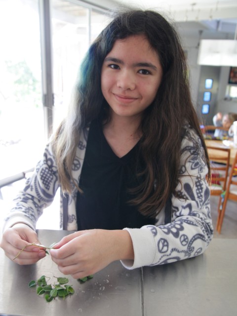 garden grown greek oregano garden grown greek oregano