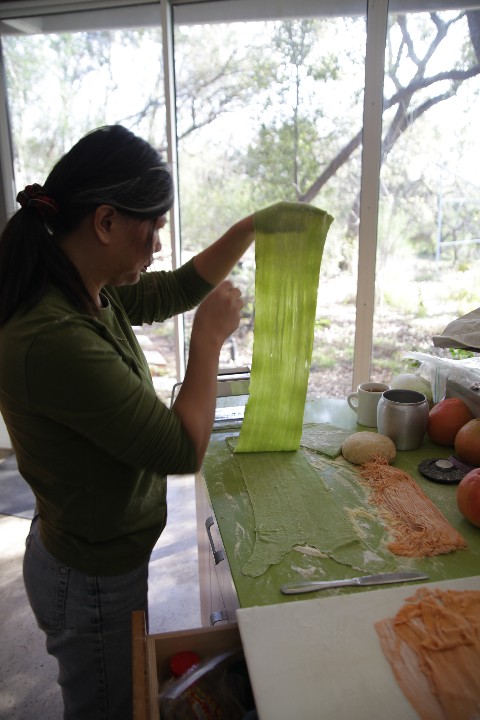 spinach pasta sheet austin homemade spinach pasta sheet austin homemade