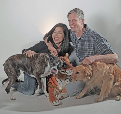 dogs play with tiger