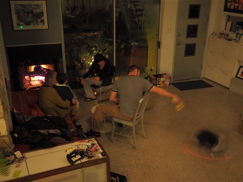 boston terrier chases laser dot marvin