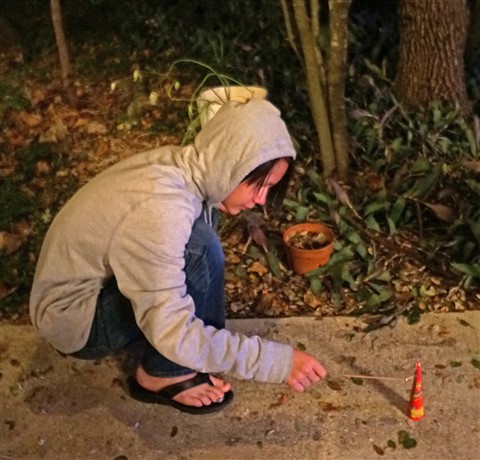 fireworks and flip flops