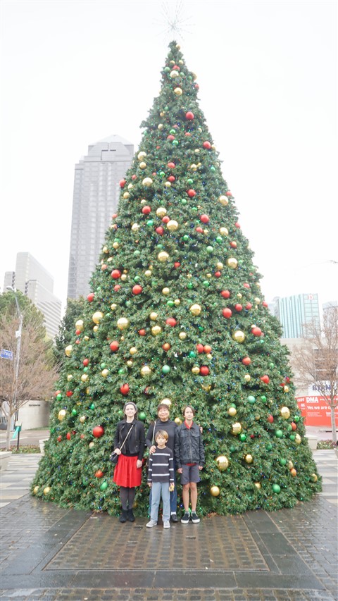 christmas tree klyde warren park