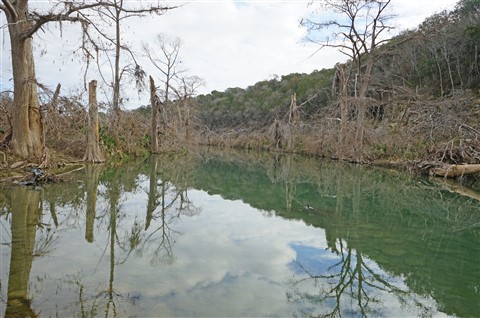 wimberley blanco river january 2016