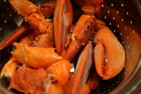 basket of lobster claws