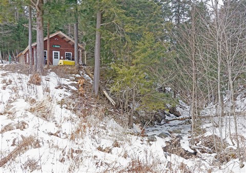 hardwick trail cabin vt
