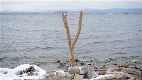 lake champlain burlington, vt