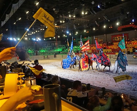 medieval times dallas