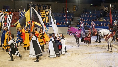 medieval tims dallas 