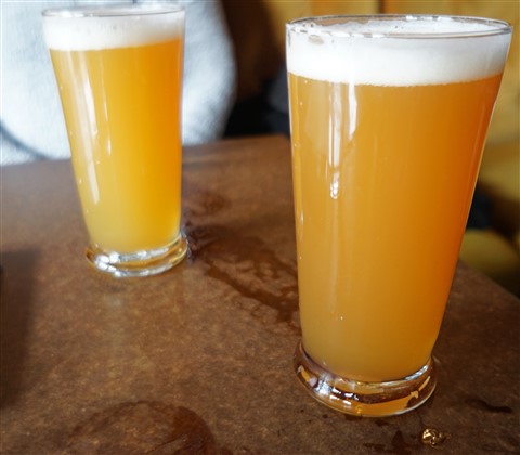 aslin and the veil dc area nova craft beer neipa